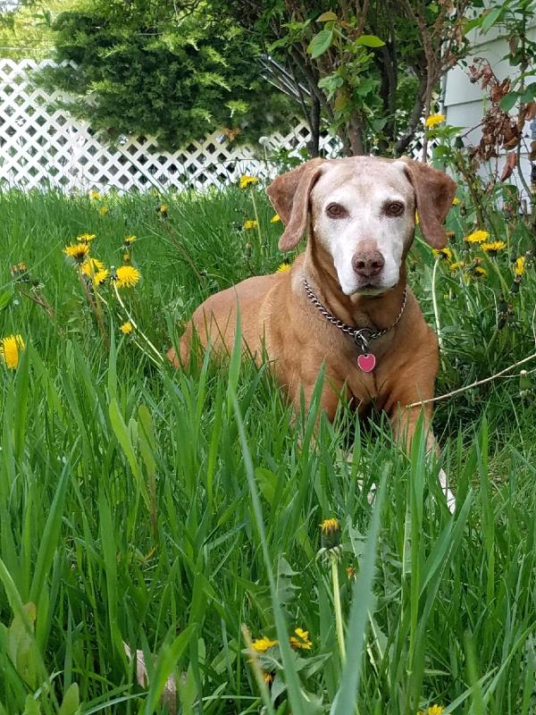 /Images/uploads/Humane Society of Utah/HSUCalendar2019/entries/6879thumb.jpg